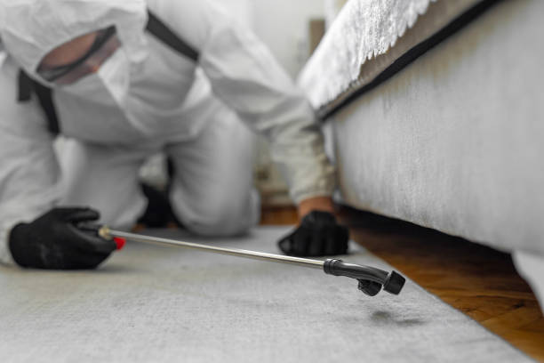 Professional Bed Bug Control technician working in Asbury, IA