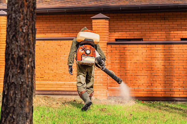 Trusted Bed Bug Control service in Asbury, IA - Nex Pest Control